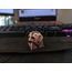 The Division 2 Demolitions Guide ESC Keycap