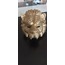 Squid Game Lion Mask
