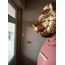 Squid Game Lion Mask