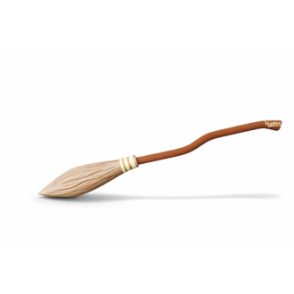 Wizard Broom