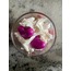 February Cup
