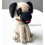 Kangal Köpek 