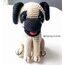 Kangal Köpek 