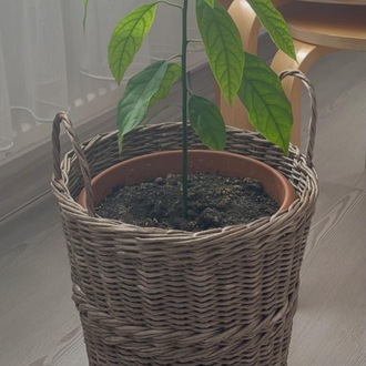 Açık Kahve Orta Boy Kulplu Sepet