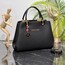 hand and shoulder bag