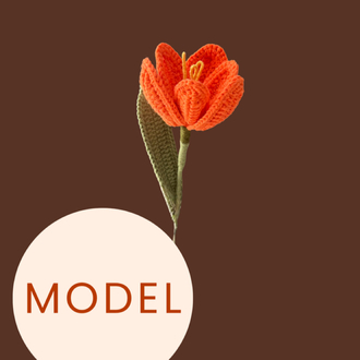 PDF Model - Örgü Lale Modeli