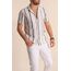 Antrasit Geniş Çizgili Slim Fit Apaş Yaka Kısa Kollu Erkek Gömlek 