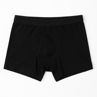 Boxer 