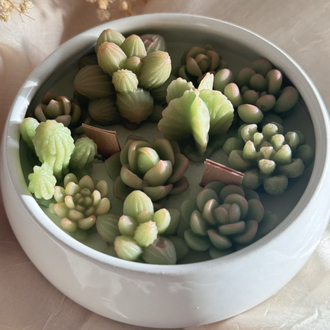 Porselen kasede skulent mum