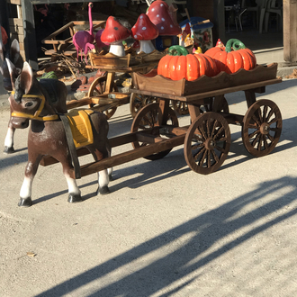 Eşşek ve arabası