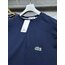 Lacoste Lacivert 