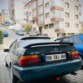 Orjinal Işıklı spoiler