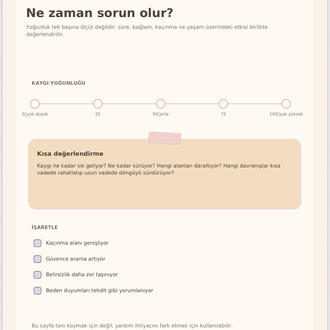 Kaygıyı Yönetmek İçin Rehber | BDT ve Öz-Şefkat Temelli Dijital Çalışma Kitabı