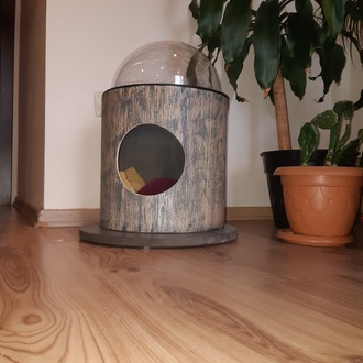KEDİ YUVASI