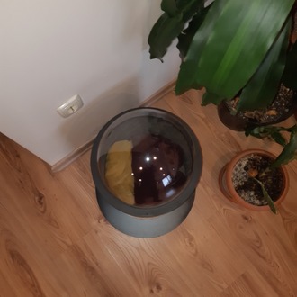 KEDİ YUVASI