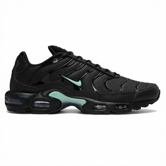 Nike Air Max Plus Black Aqua
