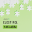 TYO-Eleştirel Yaklaşım Paketi (3 Ay Üyelik)