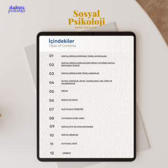 Sosyal Psikoloji - Kapsamlı Öğrenci Notları (PDF)