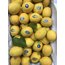 Lamas Limon (Demir Limon)