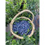 Yaban Mersini (Blueberry) (Mavi Yemiş) (kg)