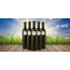 Organik Sızma Zeytinyağı (250ML)