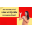 SEO Destekleyici Tanıtım Paketleri
