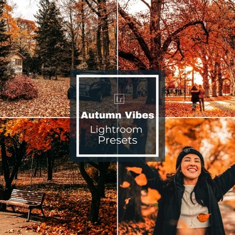 Autumn Blogger - LR Preset Pack