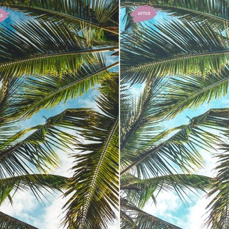 Bright Coconut - LR Preset Pack