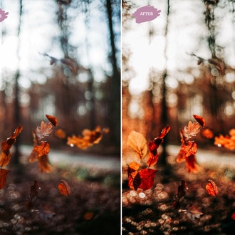 Autumn - LR Preset Pack