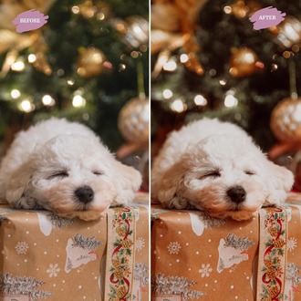 Christmas Home - LUTs Pack