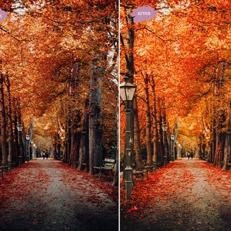Autumn - LR Preset Pack