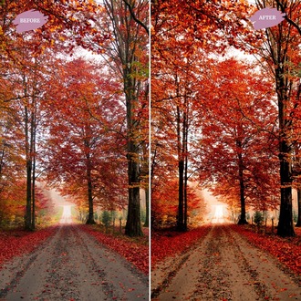 October - LUTs Pack