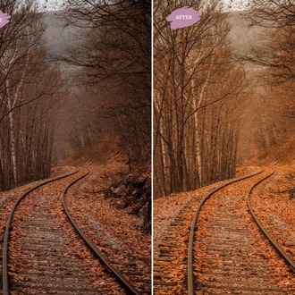 Autumn - LR Preset Pack