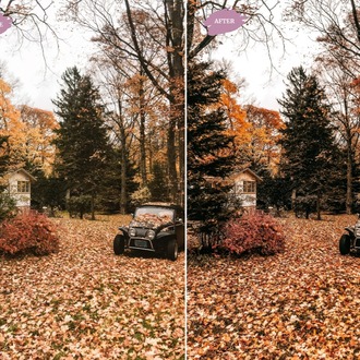 Autumn Blogger - LR Preset Pack