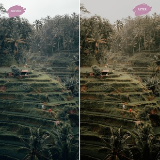 Earth Tones - LUTs Pack