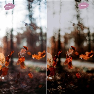 Moody Fall - LUTs Pack