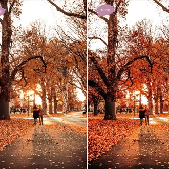 Autumn Blogger - LR Preset Pack