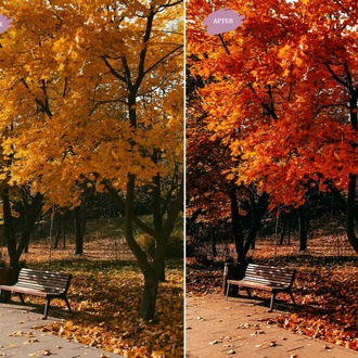 Autumn Blogger - LR Preset Pack