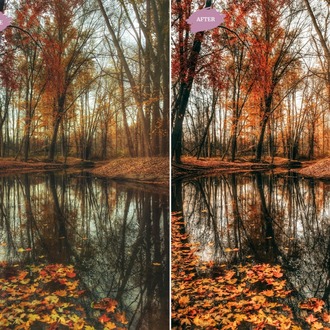 Autumn Leaves - LR Preset Pack