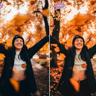 Autumn Blogger - LR Preset Pack