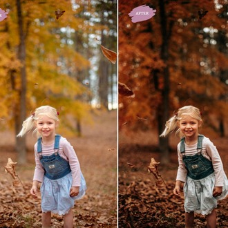 Autumn Leaves - LR Preset Pack