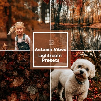 Autumn Leaves - LR Preset Pack