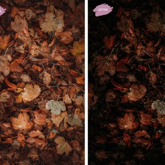 Autumn Leaves - LR Preset Pack