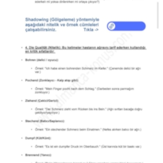 Schmerzanalyse-Pro: Klinik İletişimde Ustalık Rehberi 
