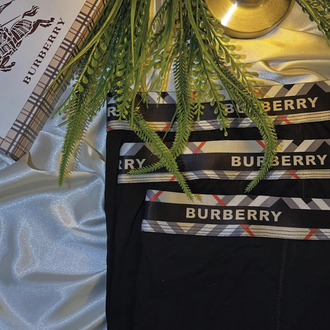 Burberry Erkek Boxer