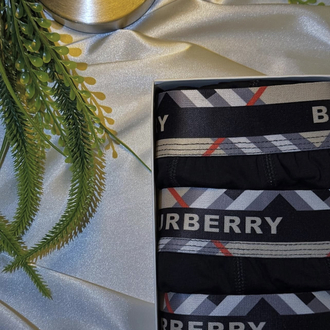 Burberry Erkek Boxer