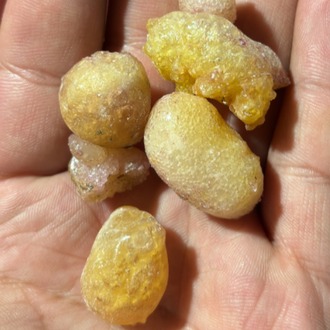 Çam Sakızı(50gr)