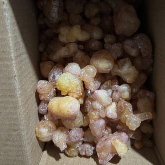 Çam Sakızı(50gr)