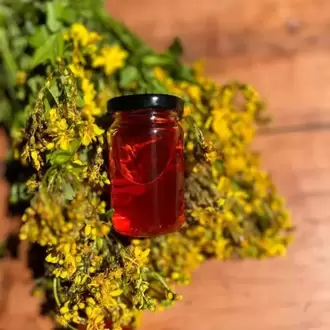 Kantaron Yağı(100ml)