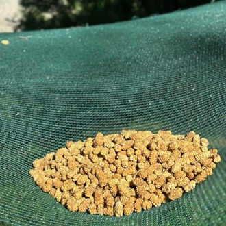 Kuru Dut (1 Kg)